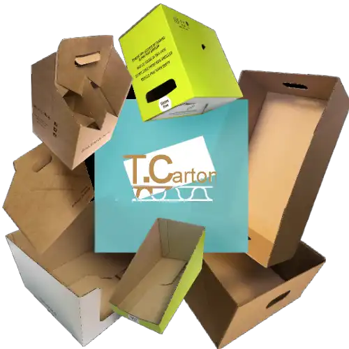 سفارش تولید کارتن با نوع و چاپ